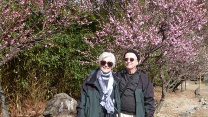 Rog and Sandy at the Shinto Temple on the Osaka Castle grounds with the Plum Trees in bloom. Yeah right, they were just transplanted from the hothouse!